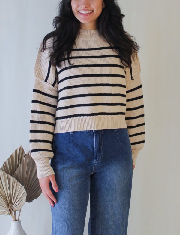 Product Image for  Striped Mock Neck Sweater