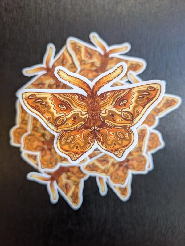Product Image for  Golden Moth Vinyl Sticker