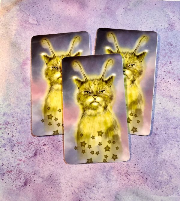 Product Image for  Alien Kitty Sticker Whimsical Extraterrestrial Charm Book Lovers