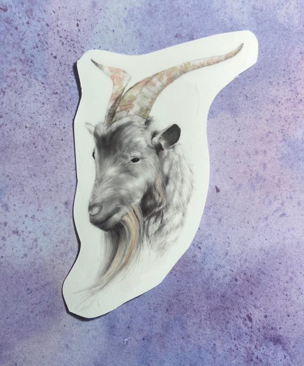 Product Image for  Goat Pencil Drawn Sticker Farm Goat Stickers Farm Animal Stickers Goat Gifts