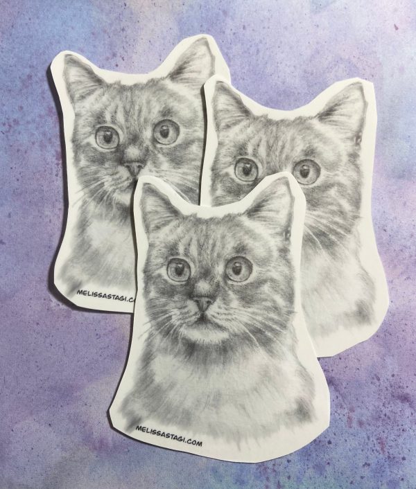 Product Image for  Wide Eyed Cat Sticker Pencil Drawn realistic sticker, cat mom cat dad cat art waterbottle sticker