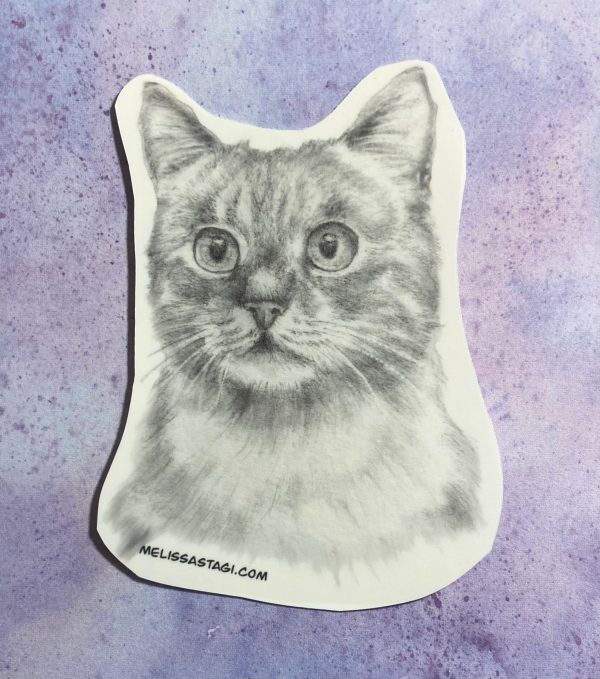 Product Image for  Wide Eyed Cat Sticker Pencil Drawn realistic sticker, cat mom cat dad cat art waterbottle sticker