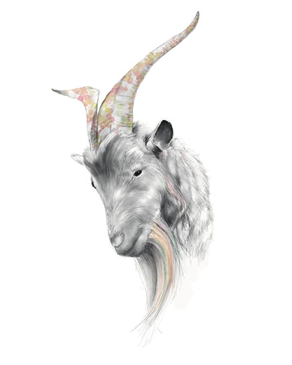 Product Image for  Realistic Pencil Goat Drawing Print Goat Stickers Farm Animal Stickers Goat Gifts Homestead Print Homesteader Backyard Farm Homesteading