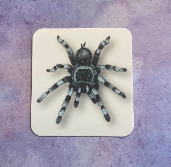 Product Image for  Blue Tarantula Sticker Arachnid Nature Lovers Bug Sticker