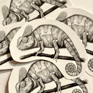 Product Image for  Iguana Sticker lizard sticker, wildlife sticker, reptile sticker