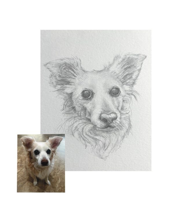 Product Image for  Pet Portrait Sketch, Custom Animal Drawing, Dog Portrait from Photo, Cat Portrait from Photo, Pet Memorial Gift, Pet Loss, Pet Memorial