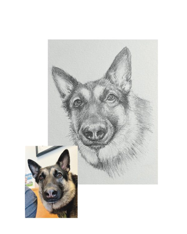 Product Image for  Pet Portrait Sketch, Custom Animal Drawing, Dog Portrait from Photo, Cat Portrait from Photo, Pet Memorial Gift, Pet Loss, Pet Memorial