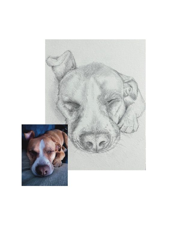 Product Image for  Pet Portrait Sketch, Custom Animal Drawing, Dog Portrait from Photo, Cat Portrait from Photo, Pet Memorial Gift, Pet Loss, Pet Memorial