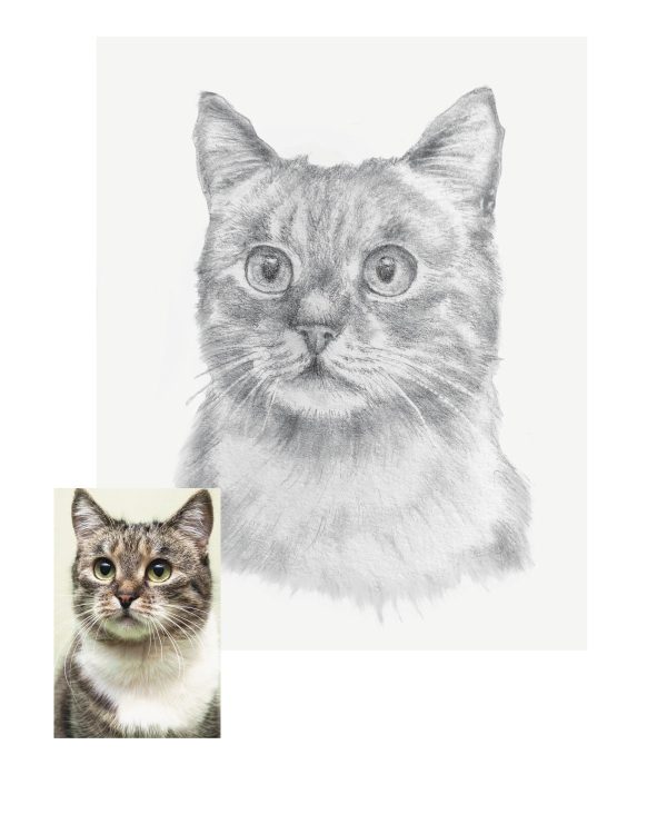 Product Image for  Pet Portrait Sketch, Custom Animal Drawing, Dog Portrait from Photo, Cat Portrait from Photo, Pet Memorial Gift, Pet Loss, Pet Memorial