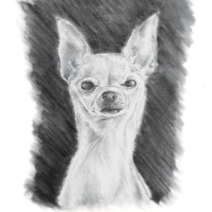 Product Image for  Pet Portrait Sketch, Custom Animal Drawing, Dog Portrait from Photo, Cat Portrait from Photo, Pet Memorial Gift, Pet Loss, Pet Memorial