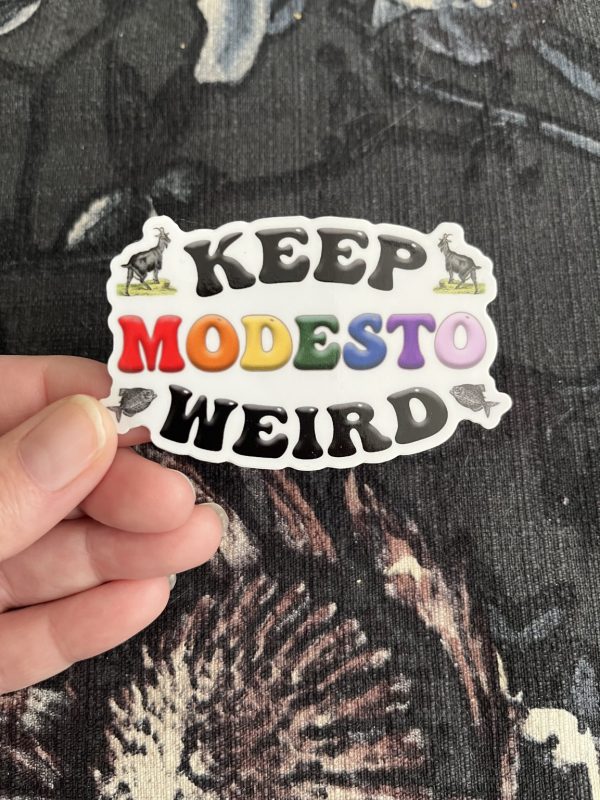 Product Image for  Keep Modesto Weird 2X3 Sticker