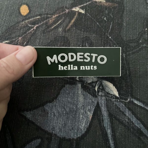 Product Image for  Modesto: Hella Nuts 3” Sticker