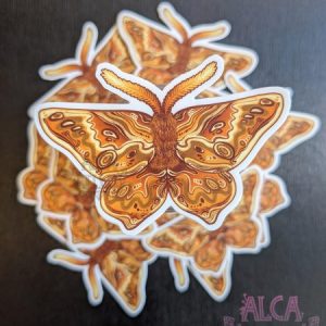 Product Image for  Golden Moth Vinyl Sticker