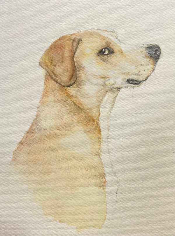 Product Image for  Watercolor Pet Portrait Custom Painting Animal , Dog Portrait from Photo, Cat Portrait from Photo, Pet Memorial Gift, Pet Loss, Pet Memorial