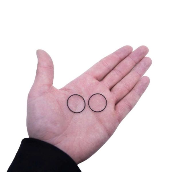 Product Image for  TFL O-Ring Bearing Replacement (Set of 2) for OneWheel